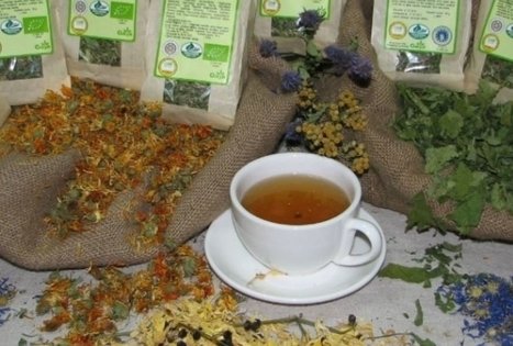 Jadvygos Balvočiūtės ūkis