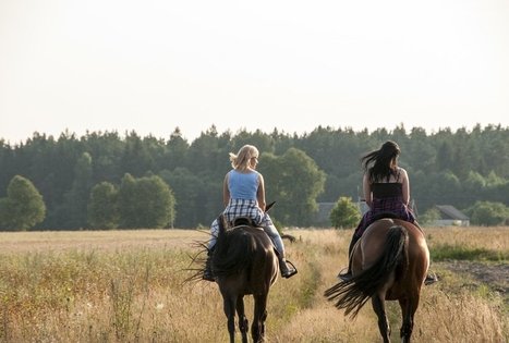 A. Budvytis guesthouse