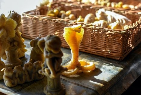 Juozo Songailos ekologinis ūkis