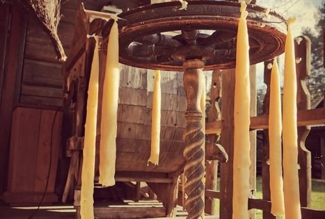 Dienos išvyka moksleiviams