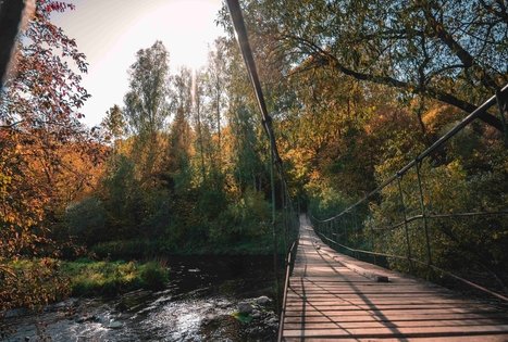 Suspension bridge over Dubysa