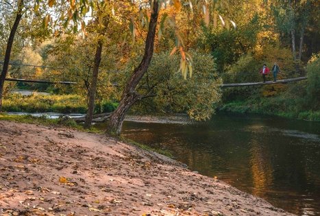 Suspension bridge over Dubysa