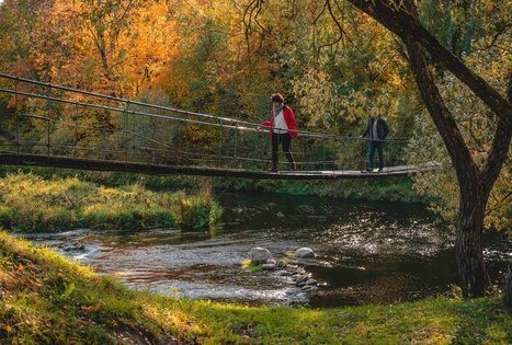 Suspension bridge over Dubysa