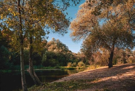 Suspension bridge over Dubysa