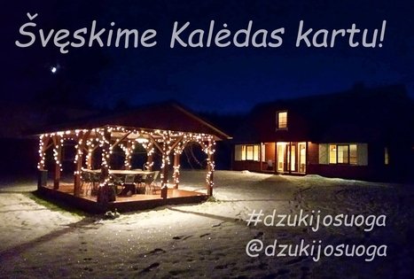 Poilsis sodyboje žiemos metu