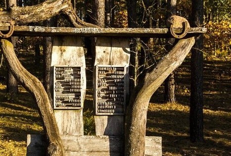 Sodyba „Kvietkinė“