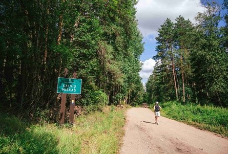 Kalviai Forest