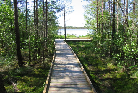 Kamanų valstybinis rezervatas