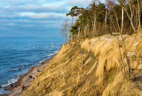 Karkle and the Dutchman's Cap