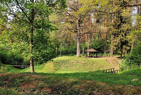 Karmazinai Cognitive Walkway