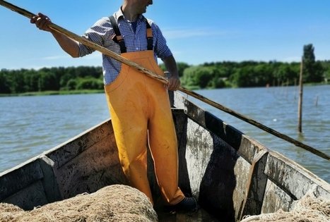 Neringa fishermen's education