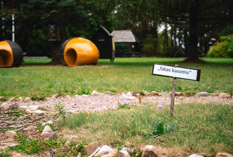 Forest Trail 62. Pakuonis – Vaišvydava.