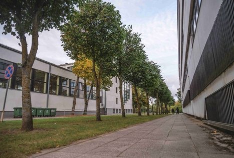 Kauno technologijos universiteto miestelis