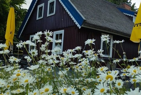 Cafe "Vėjopatis užeiga"