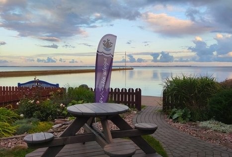 Cafe "Vėjopatis užeiga"