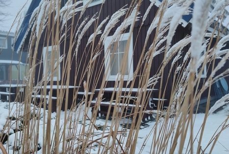 Cafe "Vėjopatis užeiga"