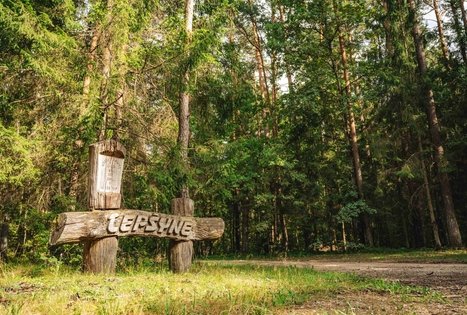 Miško Takas 63. Vaišvydava – Kaunas.