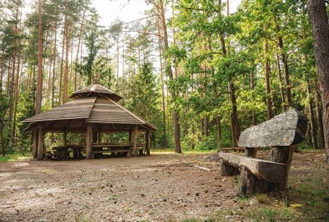 Miško Takas 63. Vaišvydava – Kaunas.