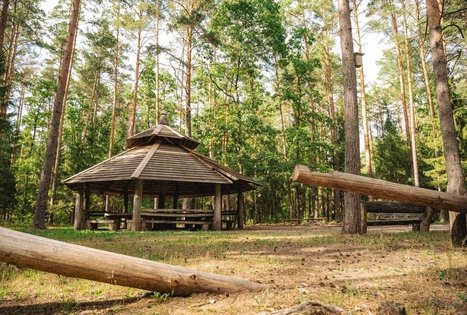 Miško Takas 63. Vaišvydava – Kaunas.