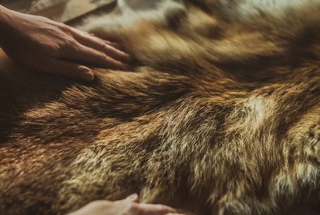 Kepurių siuvimo ir vėlimo amatas: nuo šalčio ir karščio