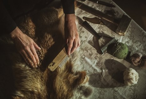 “Fur processing demonstration”