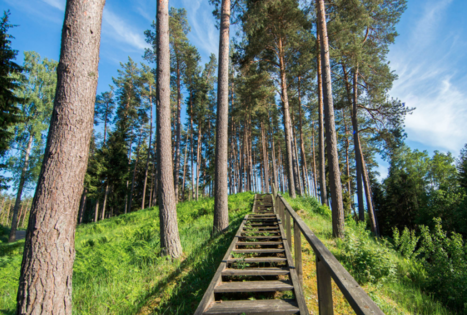 Kertuojų piliakalnis