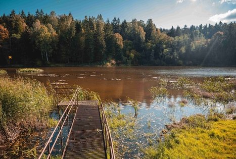 Kirkšnovė pond