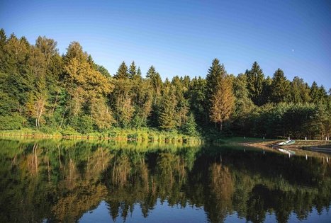 Kirkšnovė pond