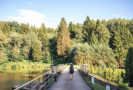 Kirkšnovė pond