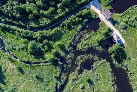 Kniaupo įlankos apžvalgos bokštelis