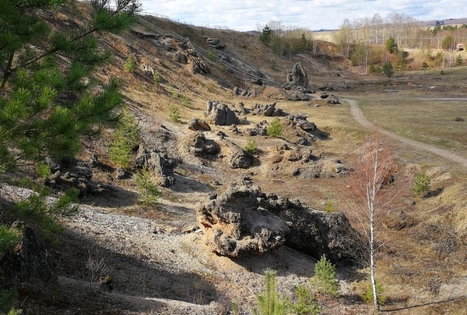 Šeimyniškių atodanga su konglomerato uola