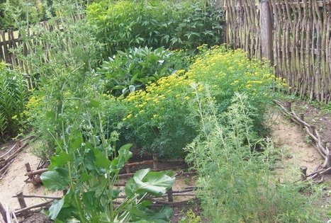 Botanical Garden of Klaipeda University