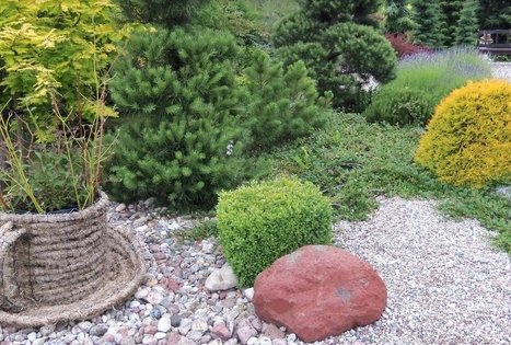 Botanical Garden of Klaipeda University