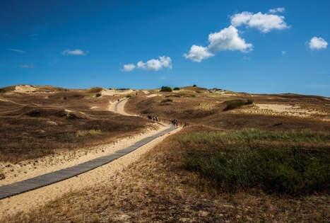 Kursiu Nerija National Park