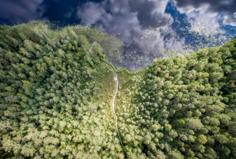 Labanoro girios pažintinis takas