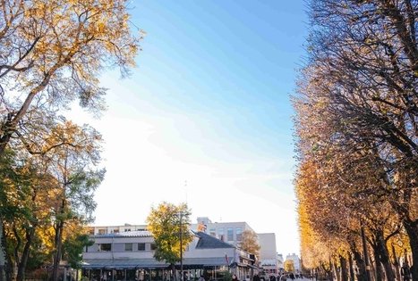 Miško Takas 63. Vaišvydava – Kaunas.