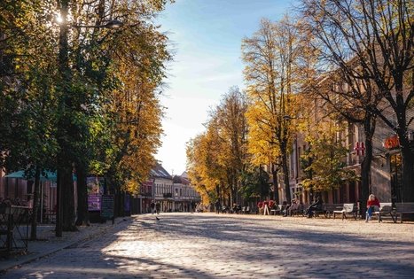 Miško Takas 63. Vaišvydava – Kaunas.