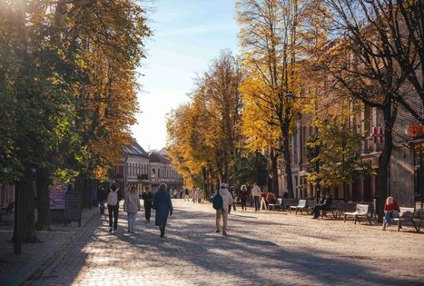 Miško Takas 63. Vaišvydava – Kaunas.