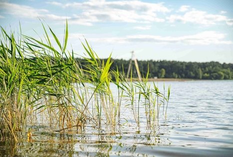 Lampėdžių ežeras (karjeras) ir paplūdimys