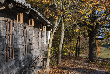 Sodyba „Pagulbis“