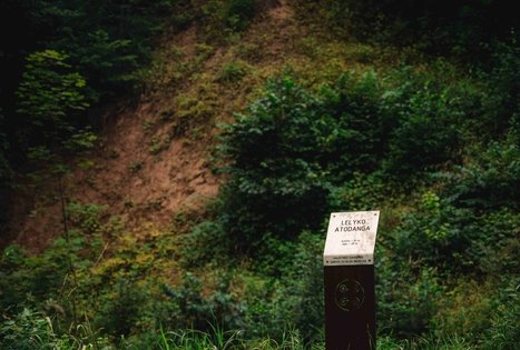 Forest Trail 69. Kirkšnovė – Kaulakiai.