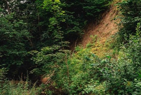 Lelyko river outcrop