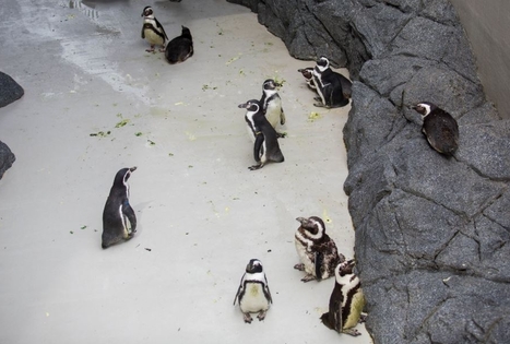 Lithuanian Sea Museum and Dolphinarium