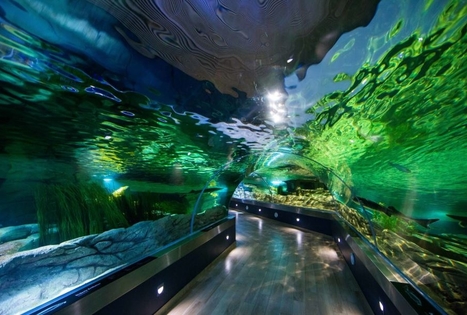 Lithuanian Sea Museum and Dolphinarium