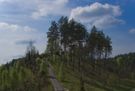 Liškiavos piliakalnis