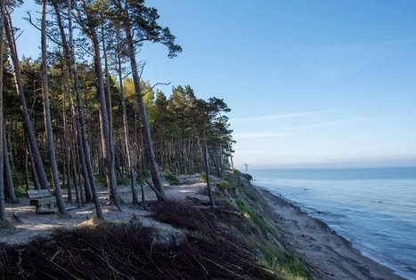 Ekologinis pažintinis takas „Litorina“