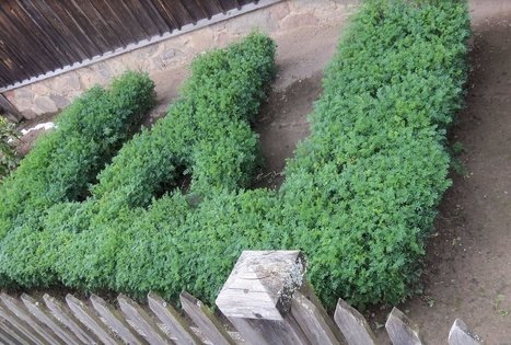 Museum of Lithuanian Ethnography