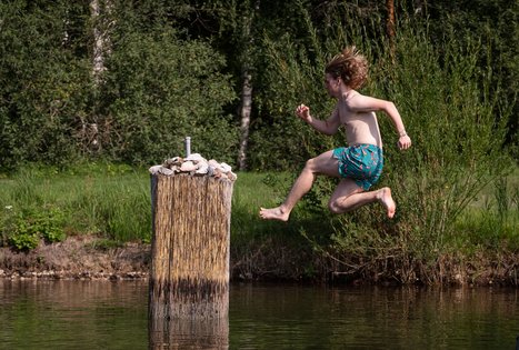 Vilijos Čepulienės sodyba