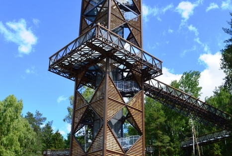 The Treetop Walking Path