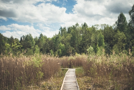 Meironų gamtos takas